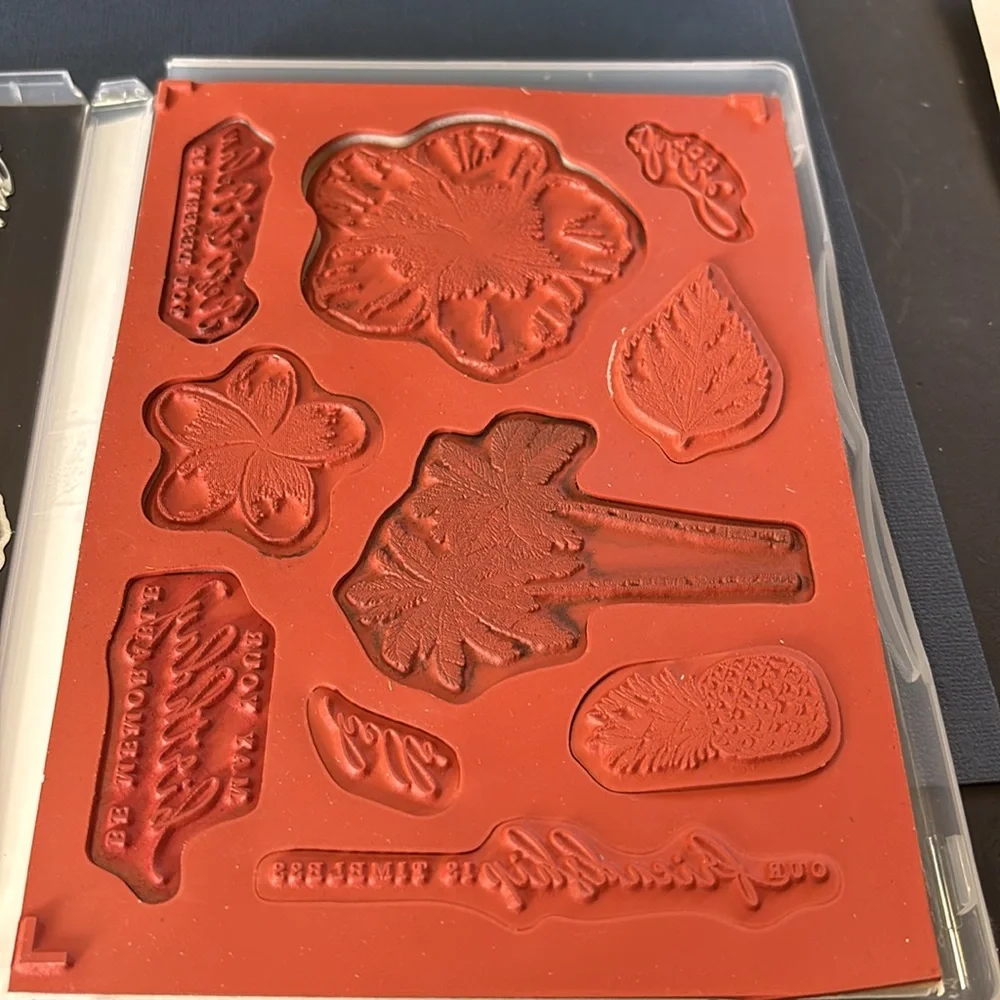 Stampin Up! Timeless Tropical Cling Stamp & Die Set - Picture 5 of 5